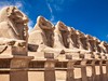 Isis - Plavba po Nilu s pobytem u Rudého moře 15 dní - Hurghada #4